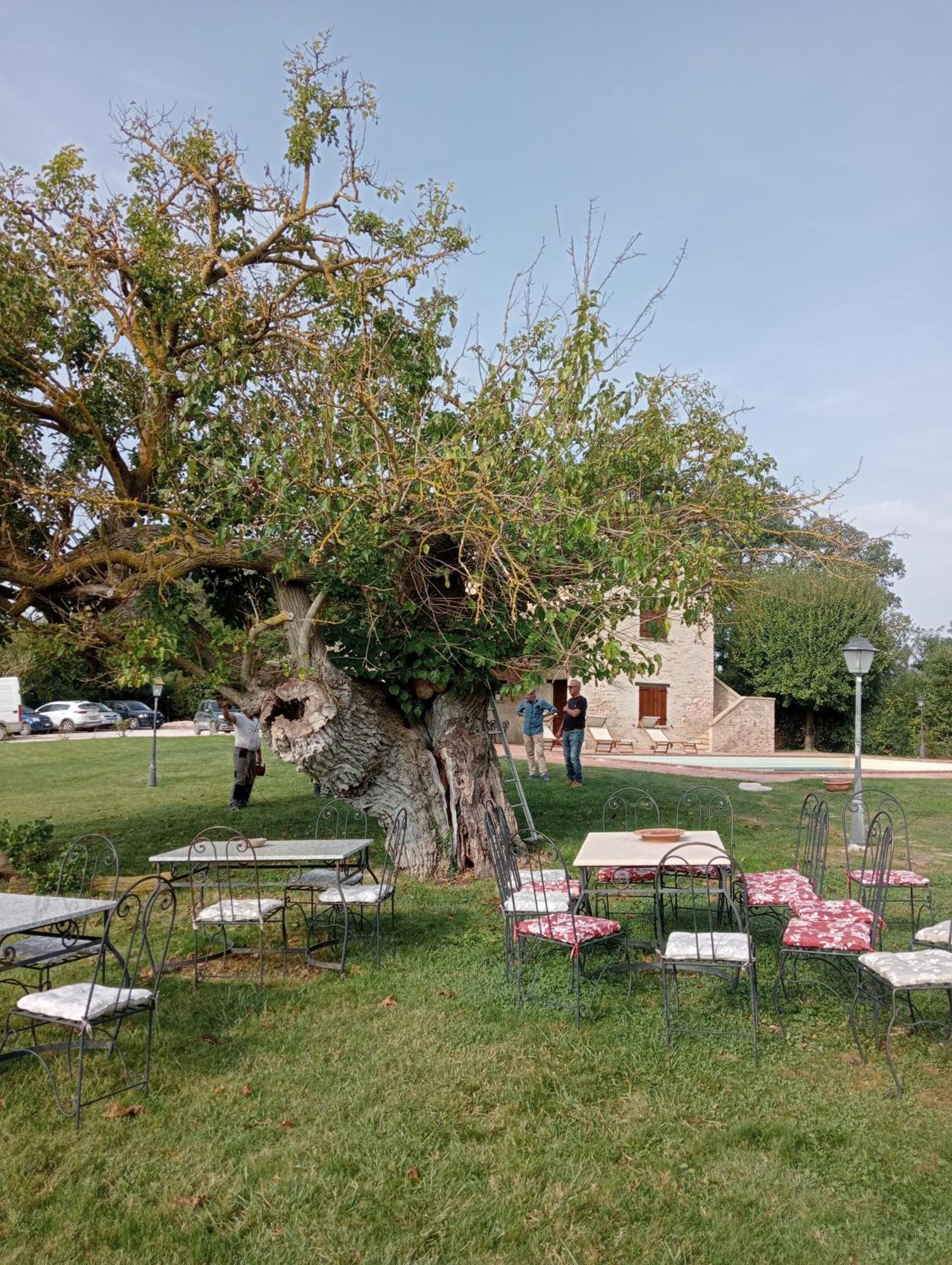 Parco Ducale Country House Urbania Eksteriør bilde